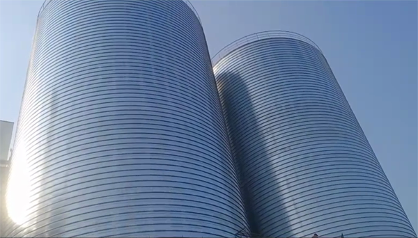 乌什2座混凝土高架卷板仓